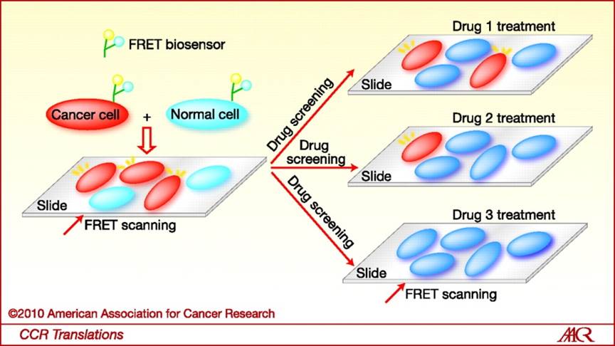 http://clincancerres.aacrjournals.org/content/16/15/3822/F1.large.jpg